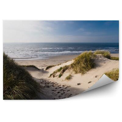 Fototapet vintage Dune Deșert Iarbă Ocean Mare Cer Nori