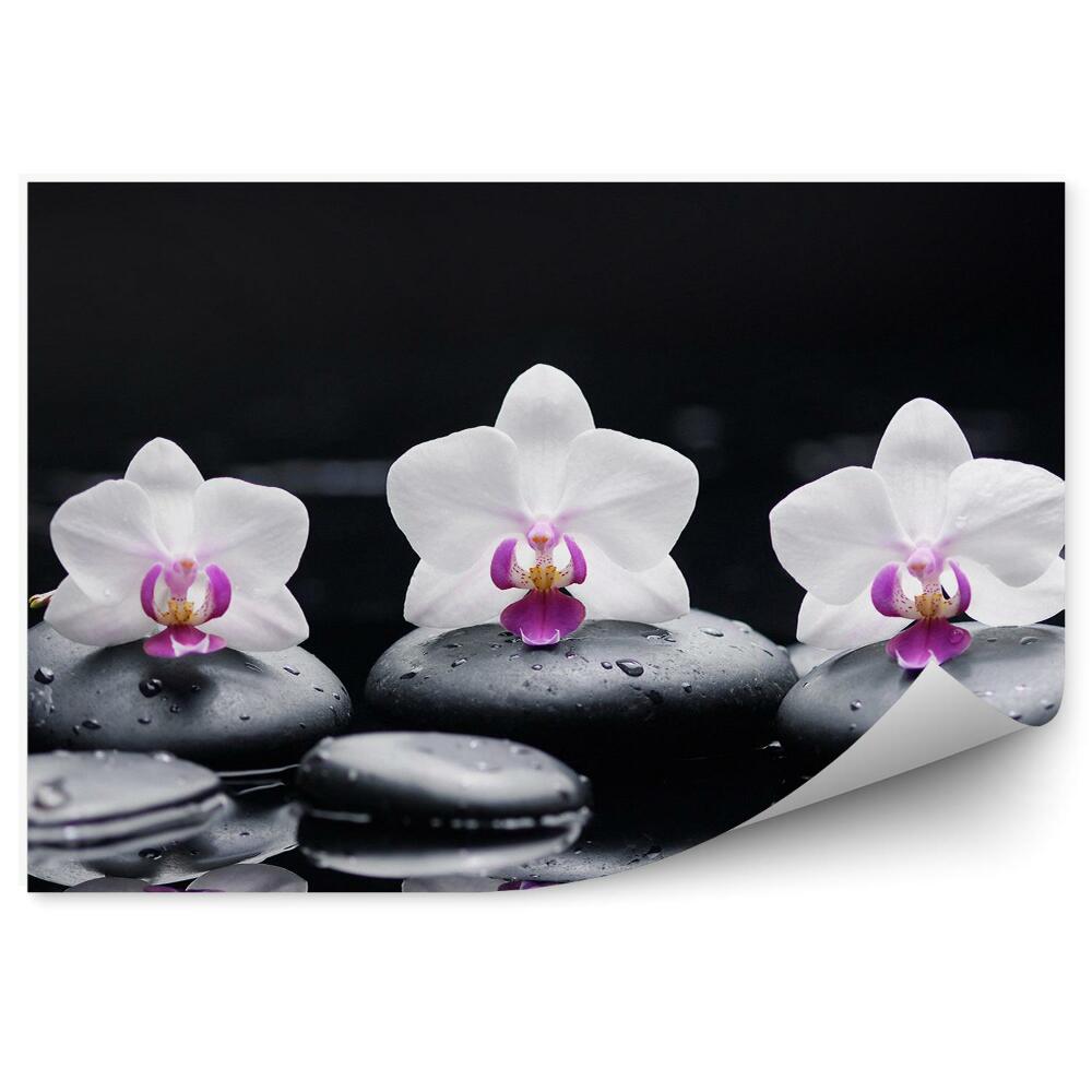 Decor fototapet Orhidee albe și roz, pietre, apă