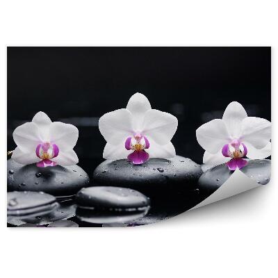 Decor fototapet Orhidee albe și roz, pietre, apă