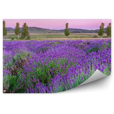 Fototapet perete Flori de lavandă munți copaci apus de soare