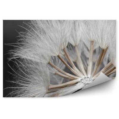 Fototapet pentru perete Seminte de papadie