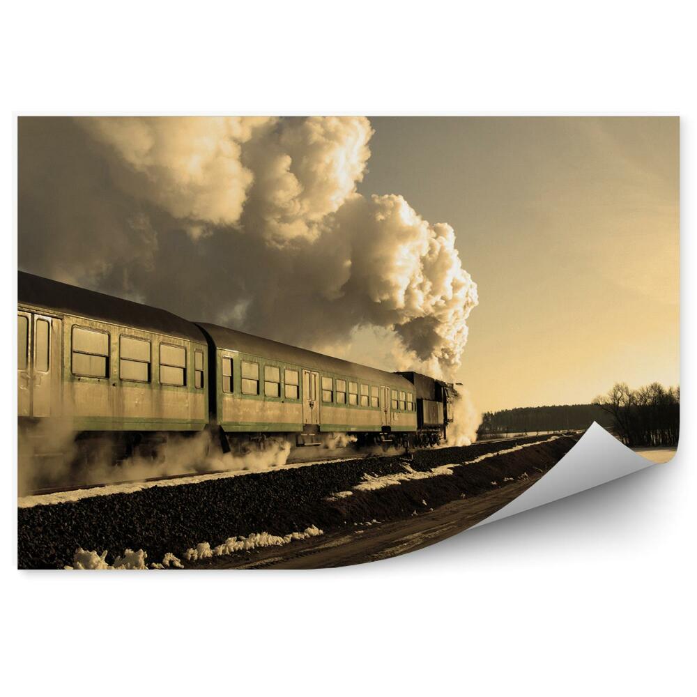 Fototapet pentru perete Zăpada de iarnă urmărește călătoria cu trenul cu abur