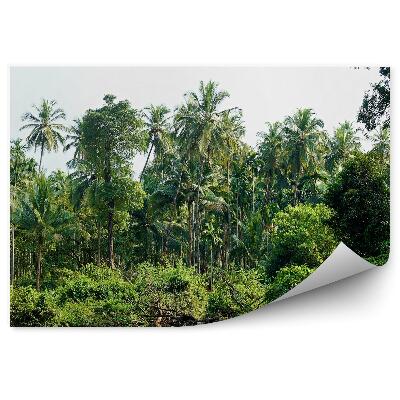 Fototapet Palmieri În Lacul Junglei