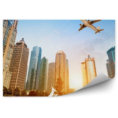 Fototapet perete Avion deasupra parcului natural al orașului