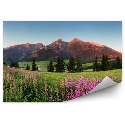 Fototapet pentru perete Panoramă Frumoasă A Munților Din Slovacia