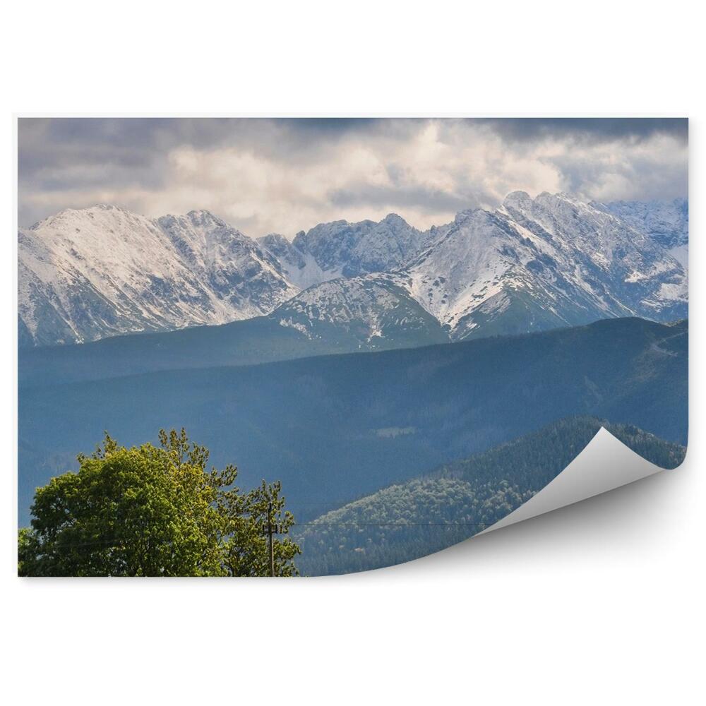 Fototapet perete Munții Zăpadă Munții Tatra Copaci Pădure Cer Nori