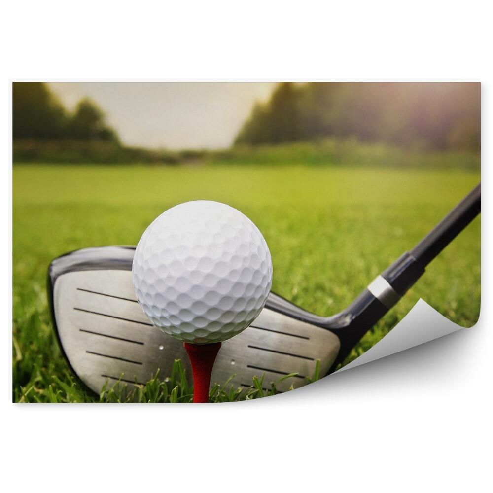 Fototapet perete Băț de golf mingea de golf iarbă plantă