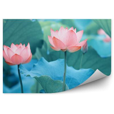 Fototapet perete Nuferi și frunze albastre