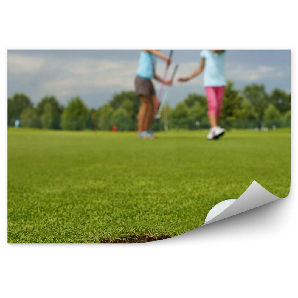 Fototapet pentru perete Gaură de golf minge de golf minge de golf copil cărucior nori cer copaci