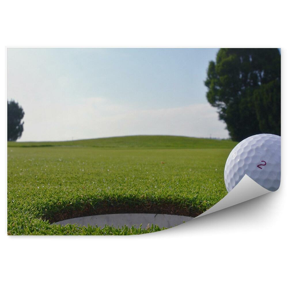 Decor fototapet gaură minge de golf copaci iarbă iarbă apă cer nori