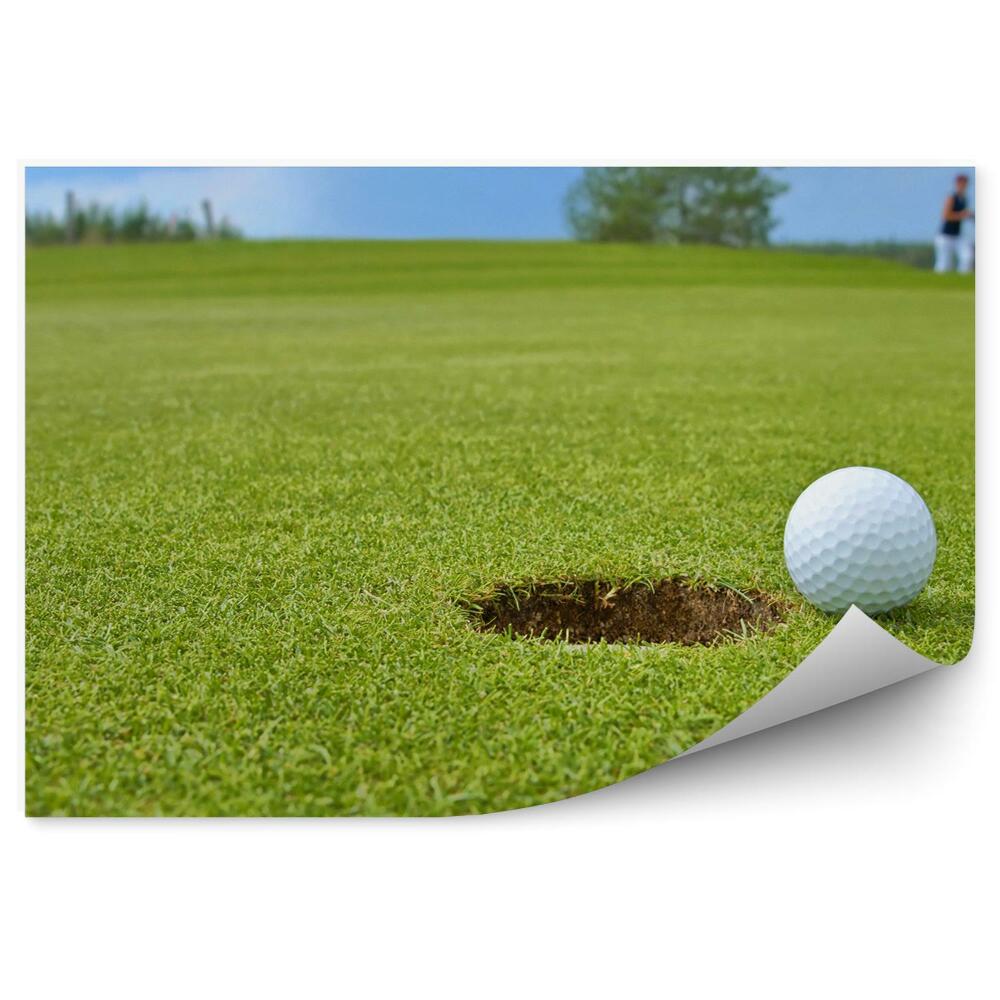 Fototapet gropiță minge de golf nori cerul copaci iarbă