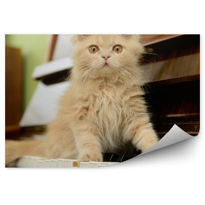 Fototapet pentru perete Clape De Pian Cat