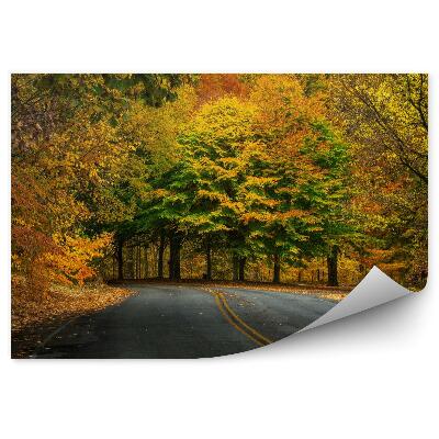 Fototapet Toamna In Padure