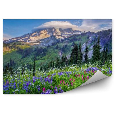 Fototapeta Krajobraz górki kwiaty