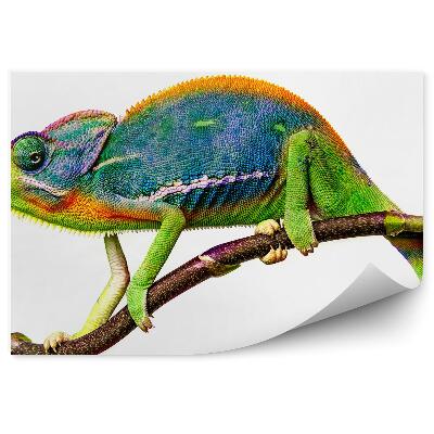 Decor fototapet Cameleon Colorat Pe O Crenguță