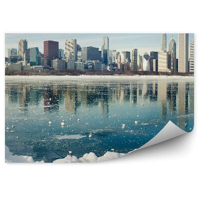 Decor fototapet Zgârie-Nori New York Copaci Cer Nori Ocean Gheață Zăpadă