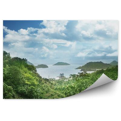 Fototapet vintage Junglă Ocean Stânci Cer Nori Seychelles