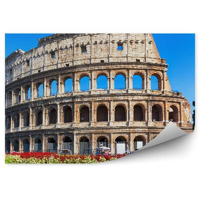 Fototapet pentru perete Colosseum roma flori plante natura