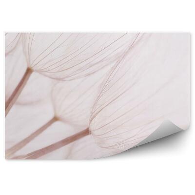 Decor fototapet Abstracția păpădiei