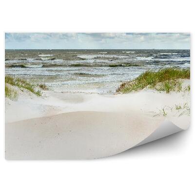 Fototapet pentru perete Dune De Nisip Pe Coasta Baltică