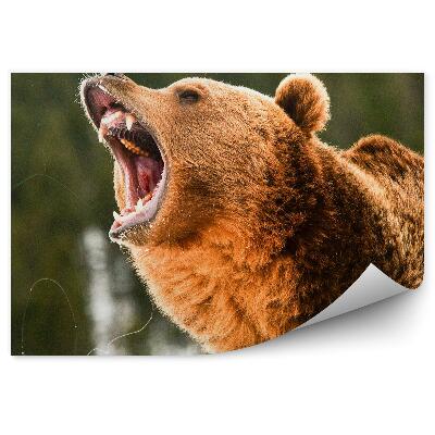 Fototapet vintage Ursul Grizzly Care Răcnește
