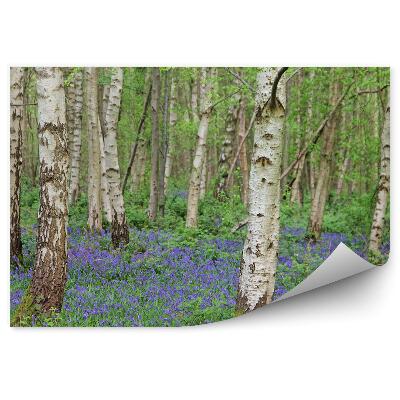 Decor fototapet Flori Albastre Printre Pădurea De Mesteacăn