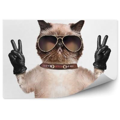 Fototapet pentru perete Ochelari Amuzanți De Pisică Cu Mănuși De Piele Pe Fundal Alb