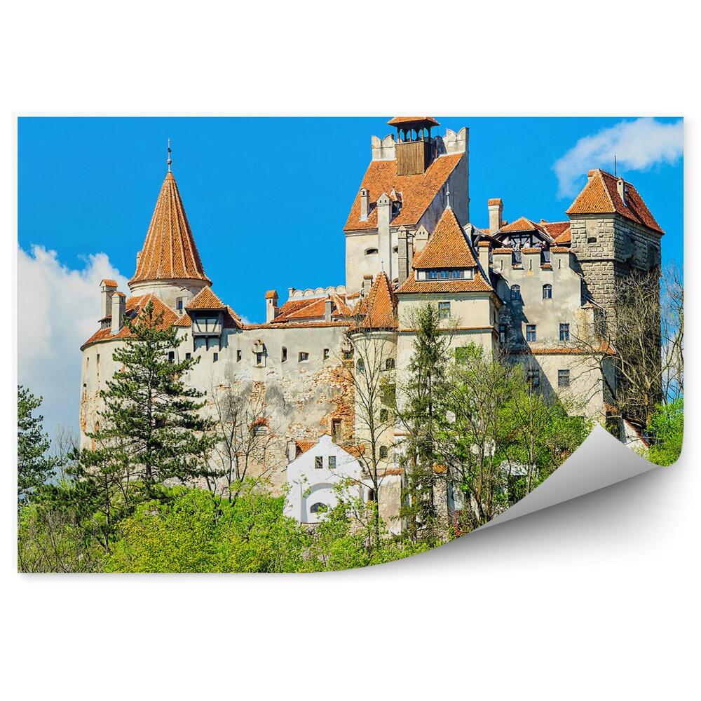 Fototapet pentru perete Castelul din Transilvania celebrul Dracula
