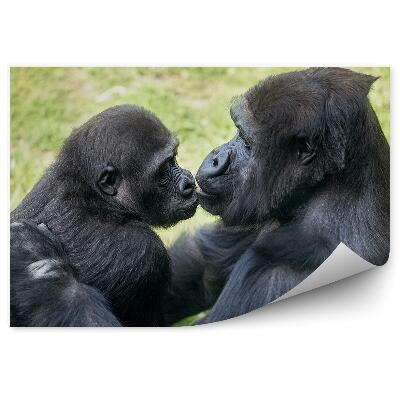 Fototapet pentru perete Mama Gorilă Cu Pui