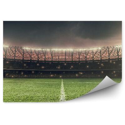 Decor fototapet Gazon pe terenul de fotbal