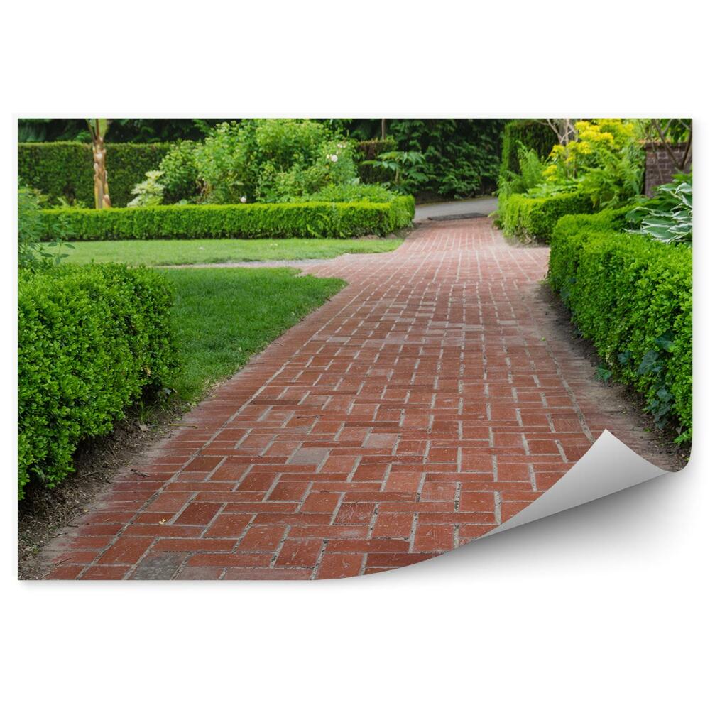 Fototapet Cărare În Grădină, Vegetație, Tufișuri, Verdeață