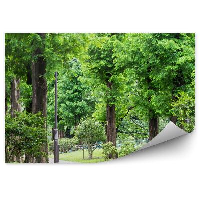 Fototapet vintage Parc De Promenadă Cu Copaci Verzi