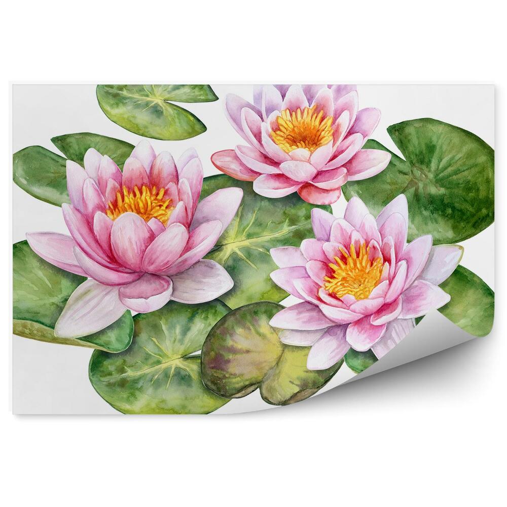 Decor fototapet Desen gravură de nuferi pe un fundal alb