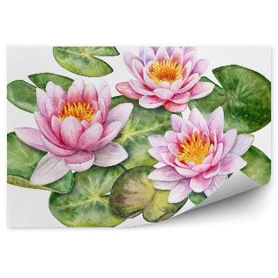 Decor fototapet Desen gravură de nuferi pe un fundal alb