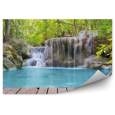 Fototapet pentru perete Pod Cascadă Natură Pădure