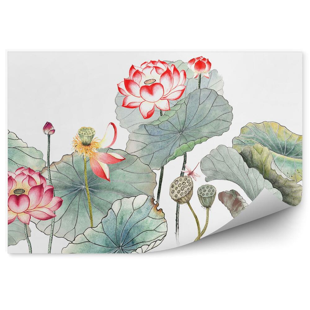 Fototapet pentru perete Desen de nuferi