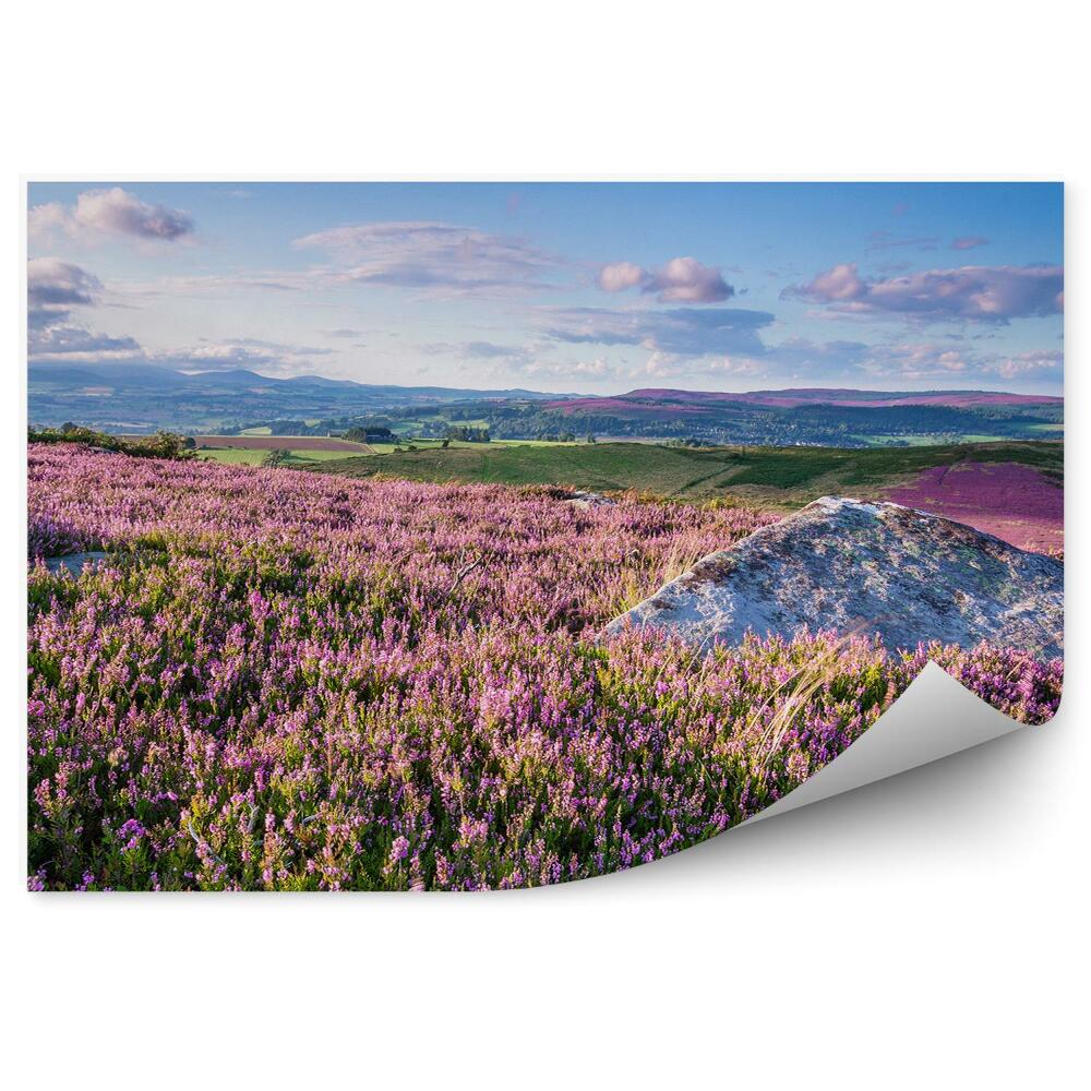 Fototapet vintage Dealuri în pădure