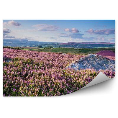 Fototapet vintage Dealuri în pădure