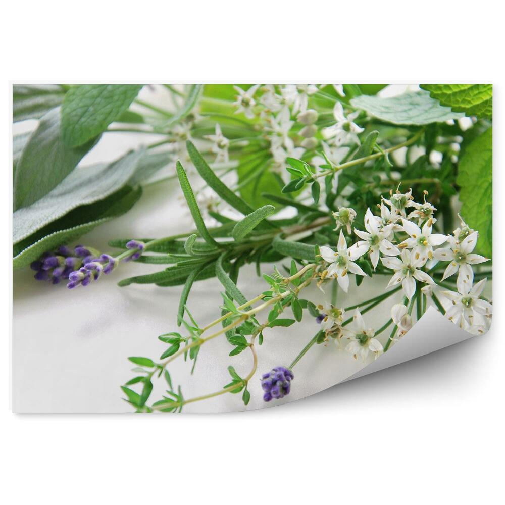 Fototapet pentru perete Compoziție ierburi proaspete flori verzi frunze