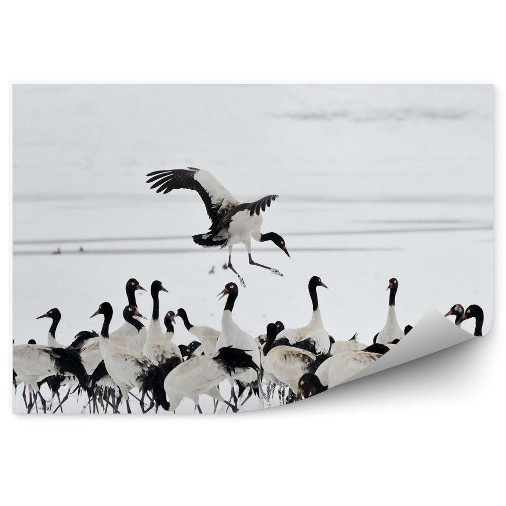 Fototapet vintage Stol De Macarale În Zăpadă