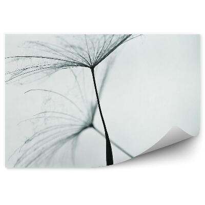 Decor fototapet Seminte de flori de papadie