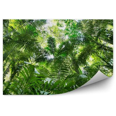 Decor fototapet Frunzele Junglei