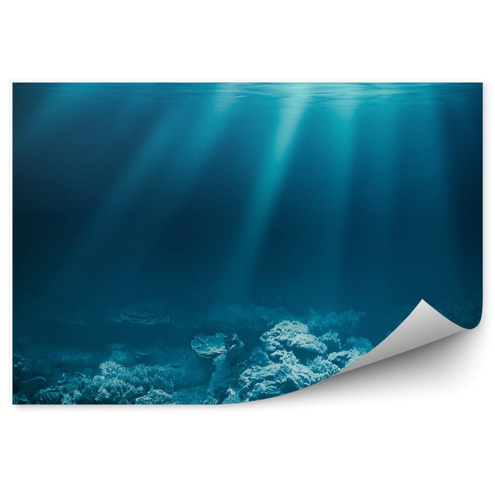 Fototapet vintage Recif De Corali Pe Fundul Oceanului Cu Razele Soarelui