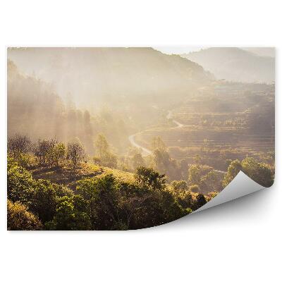 Fototapet Vedere Asupra Pădurii Cu Copaci Și Razele Soarelui