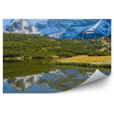 Fototapet vintage Peisajul Munților Tatra Czarny Staw În Valea Gąsienicowa