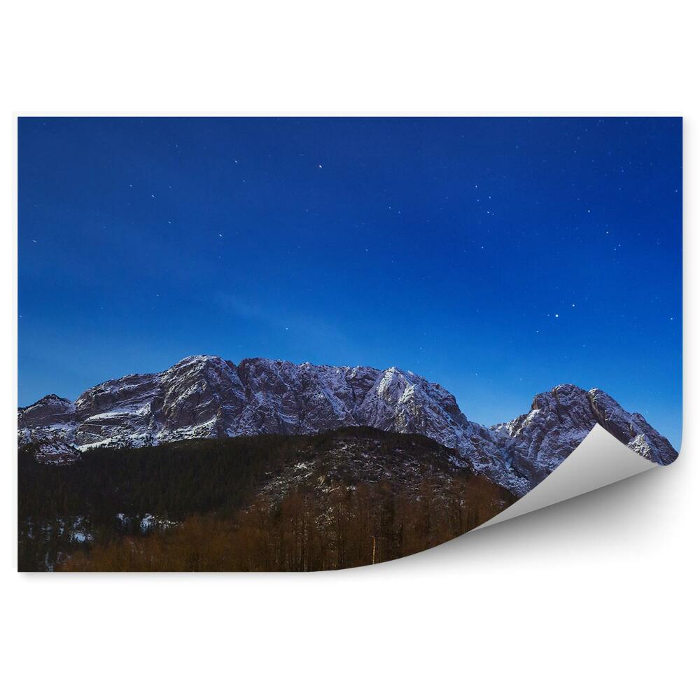 Fototapet Vedere Din Munții Giewont Tatra Copaci De Conifere Cer Stele Munți Zăpadă