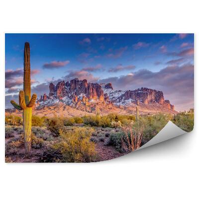 Fototapeta Pejzaż gór w arizonie