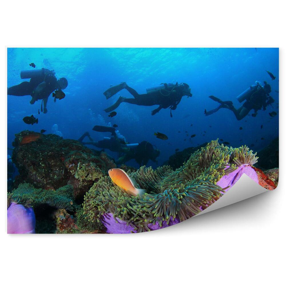 Fototapet vintage Pește Anemonă De Banc De Scafandri