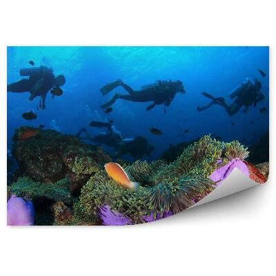 Fototapet vintage Pește Anemonă De Banc De Scafandri