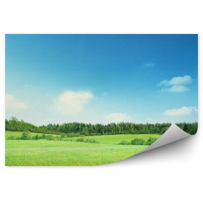 Fototapet Câmp De Iarbă Arbori Vegetație